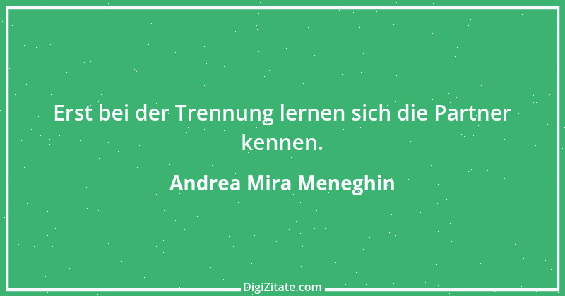 Zitat von Andrea Mira Meneghin 69