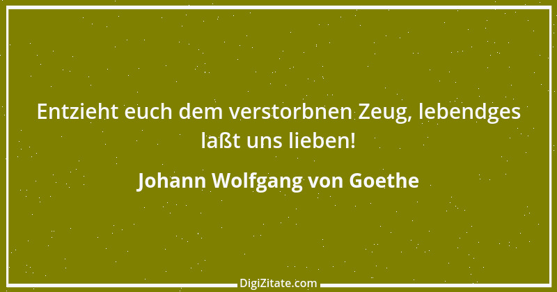 Zitat von Johann Wolfgang von Goethe 1479