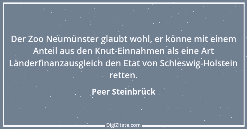 Zitat von Peer Steinbrück 16