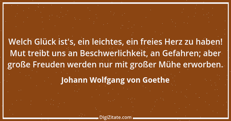 Zitat von Johann Wolfgang von Goethe 2481