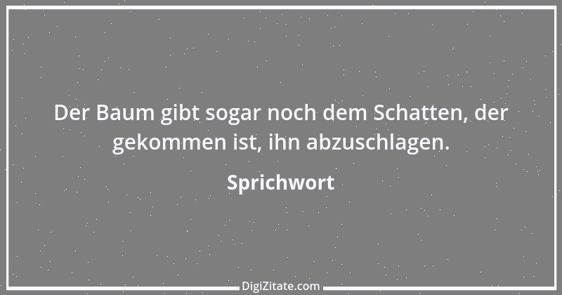 Zitat von Sprichwort 6473