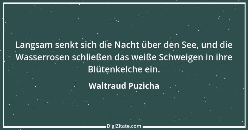 Zitat von Waltraud Puzicha 132