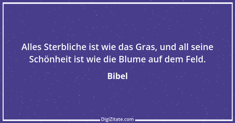 Zitat von Bibel 519