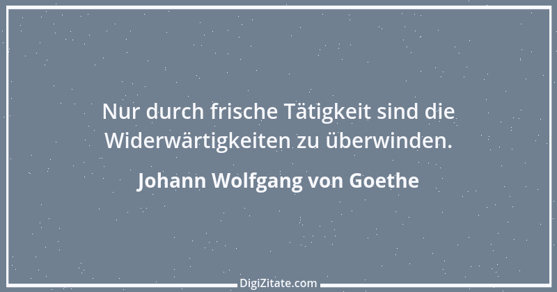 Zitat von Johann Wolfgang von Goethe 2485