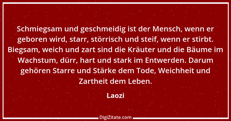 Zitat von Laozi 211