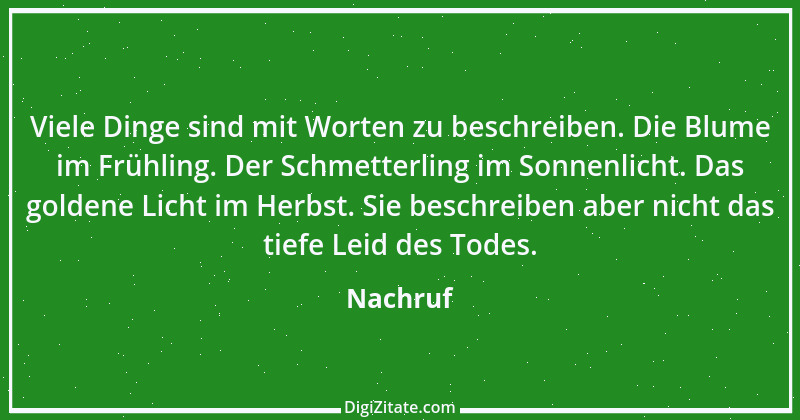 Zitat von Nachruf 80