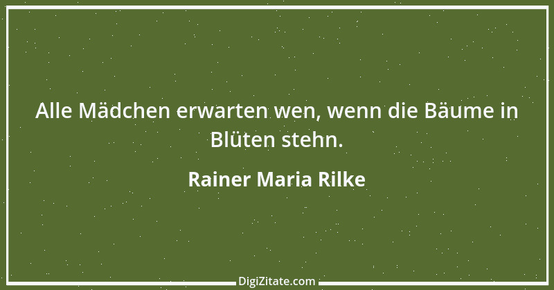 Zitat von Rainer Maria Rilke 30