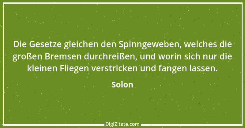 Zitat von Solon 34