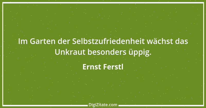 Zitat von Ernst Ferstl 243