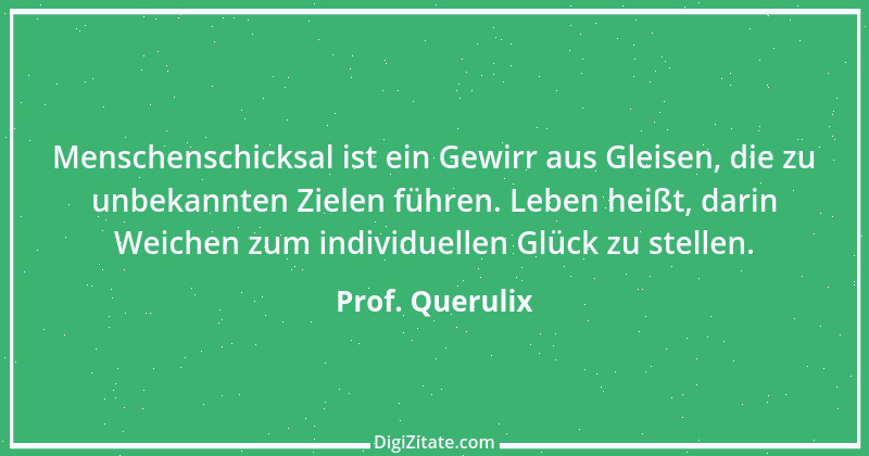 Zitat von Prof. Querulix 94