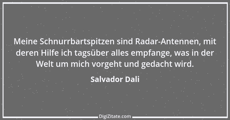 Zitat von Salvador Dali 16