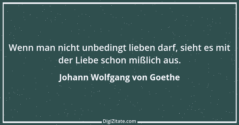 Zitat von Johann Wolfgang von Goethe 486