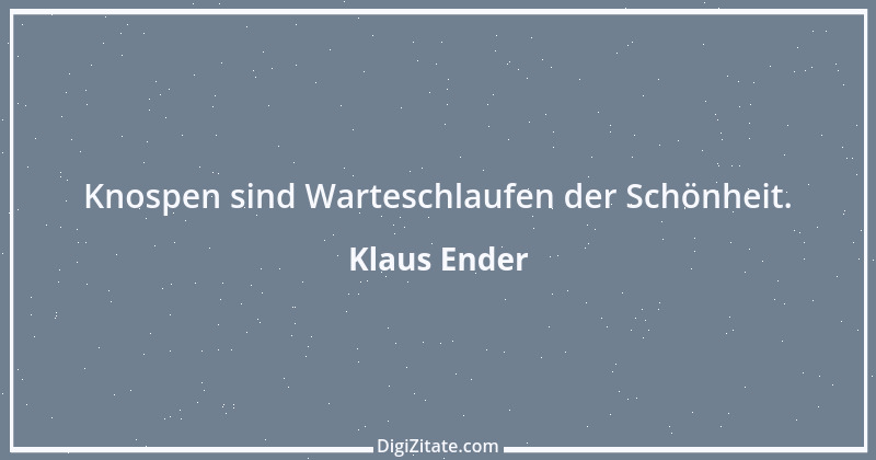 Zitat von Klaus Ender 160