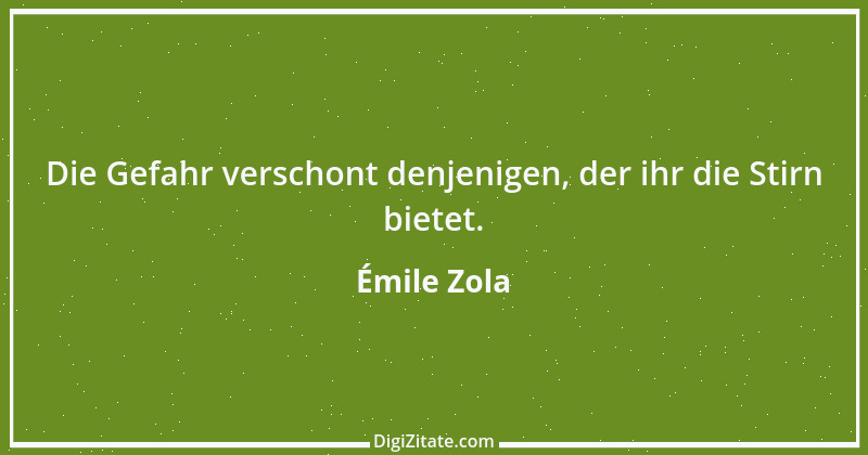 Zitat von Émile Zola 27