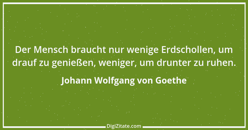 Zitat von Johann Wolfgang von Goethe 1489