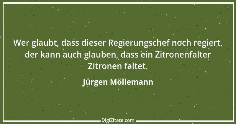 Zitat von Jürgen Möllemann 10