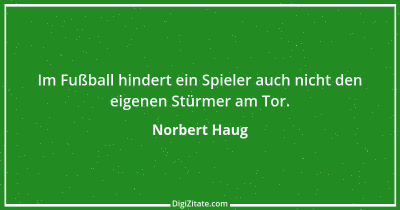 Zitat von Norbert Haug 6