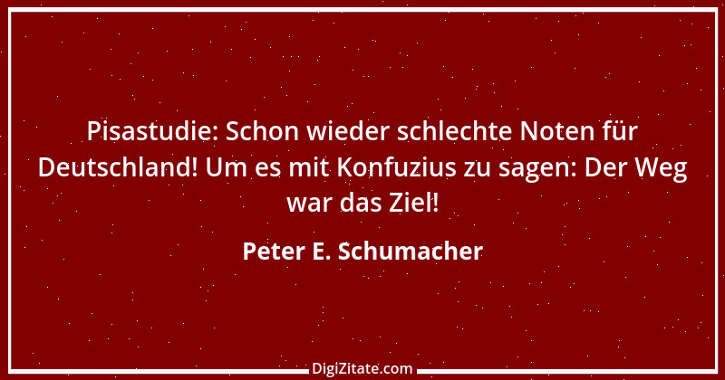 Zitat von Peter E. Schumacher 297