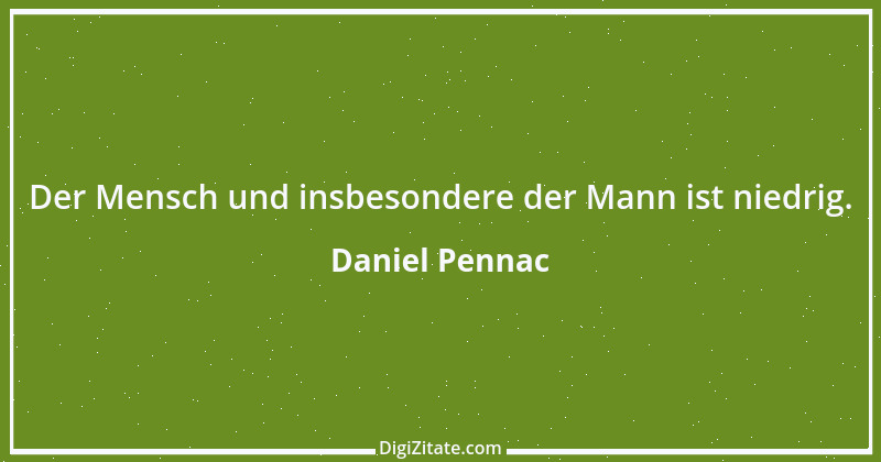 Zitat von Daniel Pennac 12