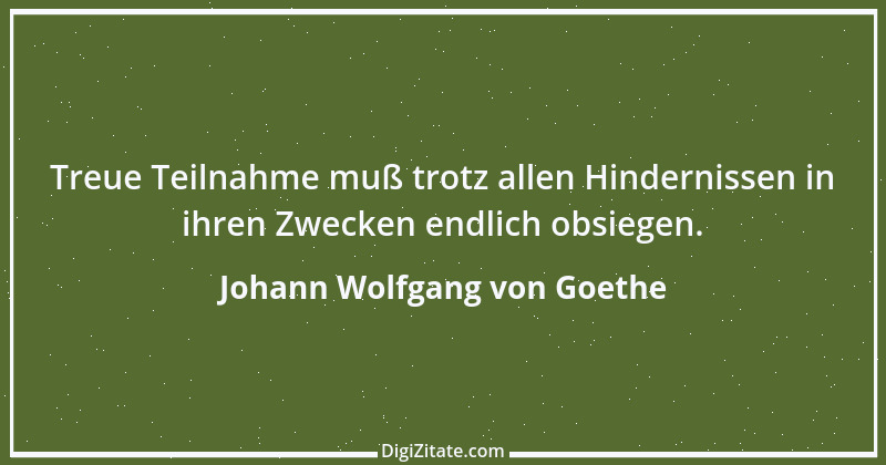 Zitat von Johann Wolfgang von Goethe 1494