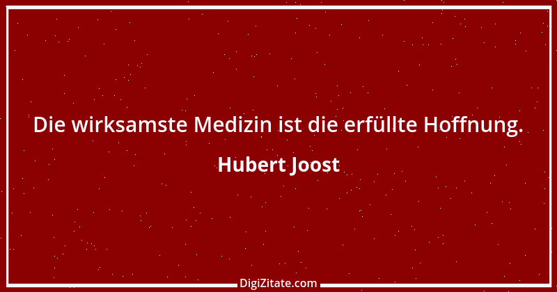 Zitat von Hubert Joost 49