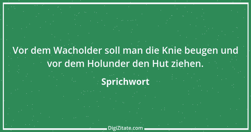 Zitat von Sprichwort 6487