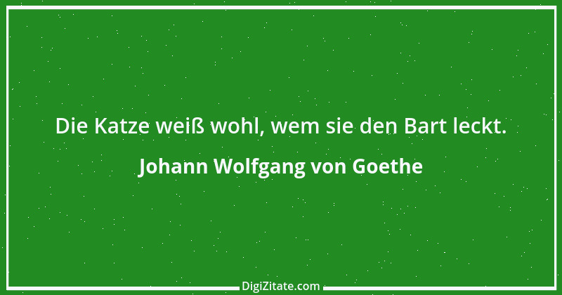 Zitat von Johann Wolfgang von Goethe 803