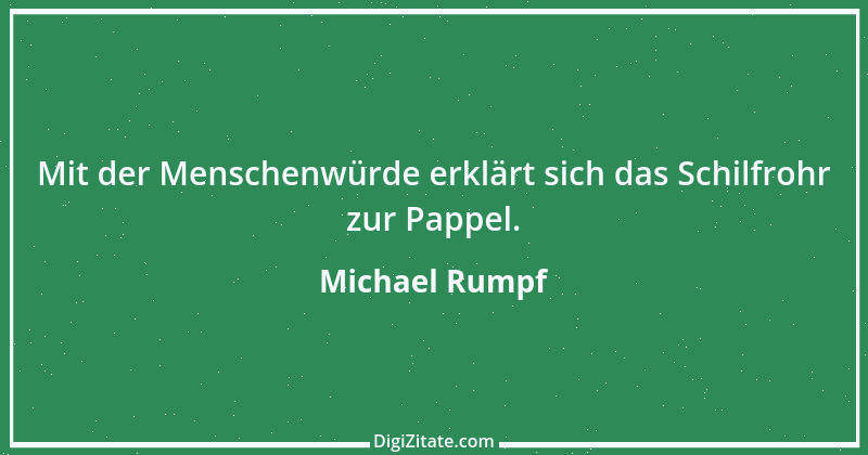 Zitat von Michael Rumpf 109