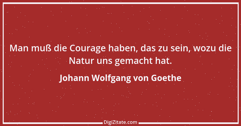 Zitat von Johann Wolfgang von Goethe 2497