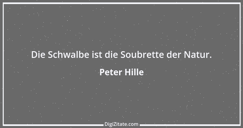 Zitat von Peter Hille 10