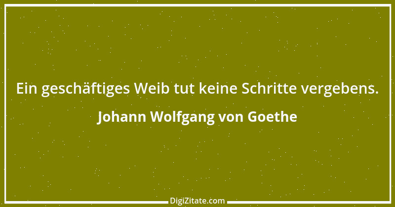 Zitat von Johann Wolfgang von Goethe 498