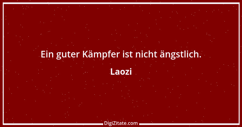 Zitat von Laozi 225