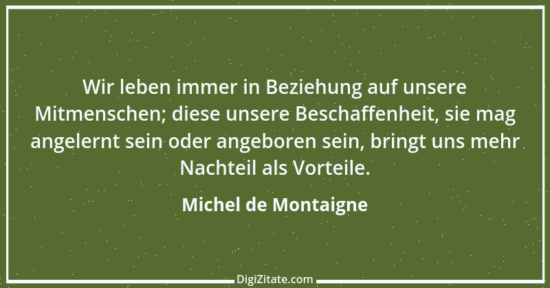 Zitat von Michel de Montaigne 187