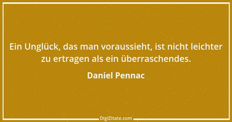 Zitat von Daniel Pennac 18