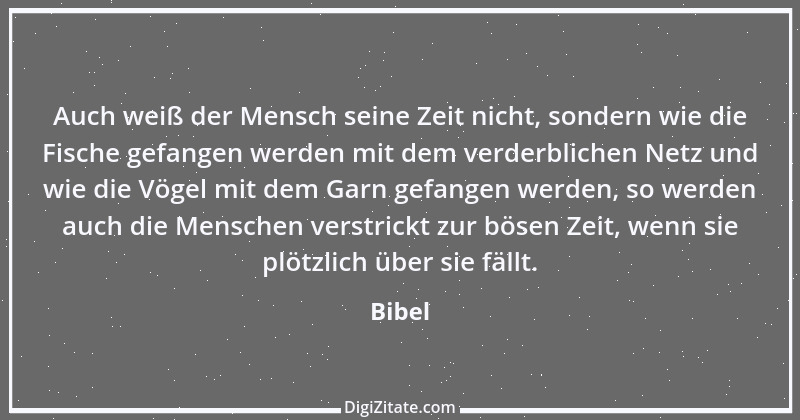 Zitat von Bibel 1537