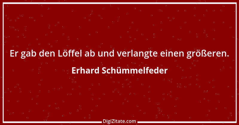 Zitat von Erhard Schümmelfeder 1