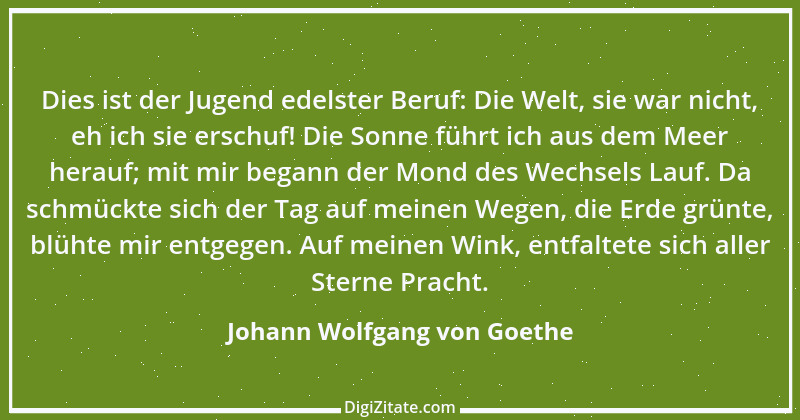 Zitat von Johann Wolfgang von Goethe 502