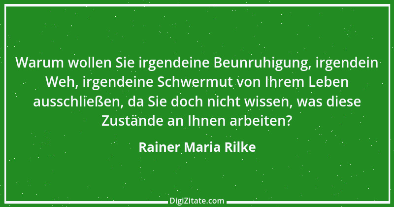 Zitat von Rainer Maria Rilke 47