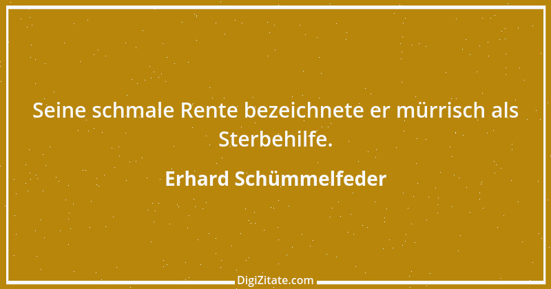 Zitat von Erhard Schümmelfeder 4