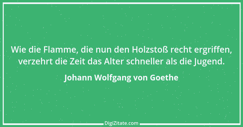 Zitat von Johann Wolfgang von Goethe 3505