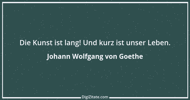 Zitat von Johann Wolfgang von Goethe 505