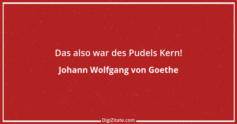 Zitat von Johann Wolfgang von Goethe 2804