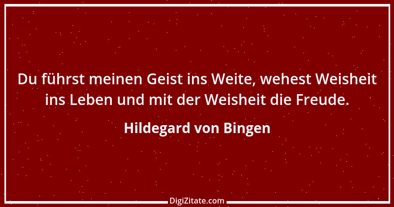 Zitat von Hildegard von Bingen 142