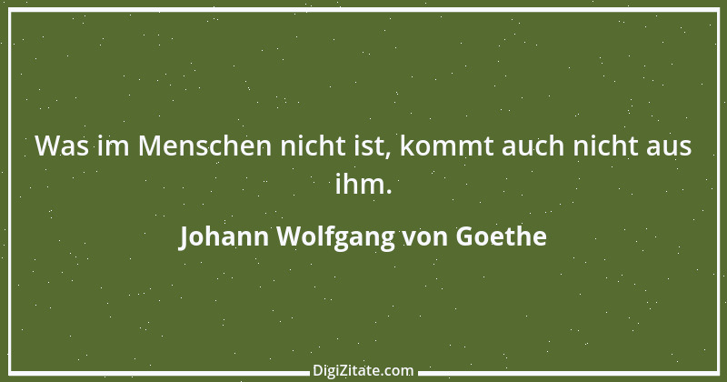 Zitat von Johann Wolfgang von Goethe 2506