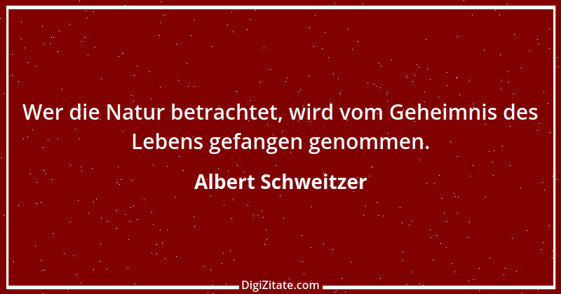 Zitat von Albert Schweitzer 218