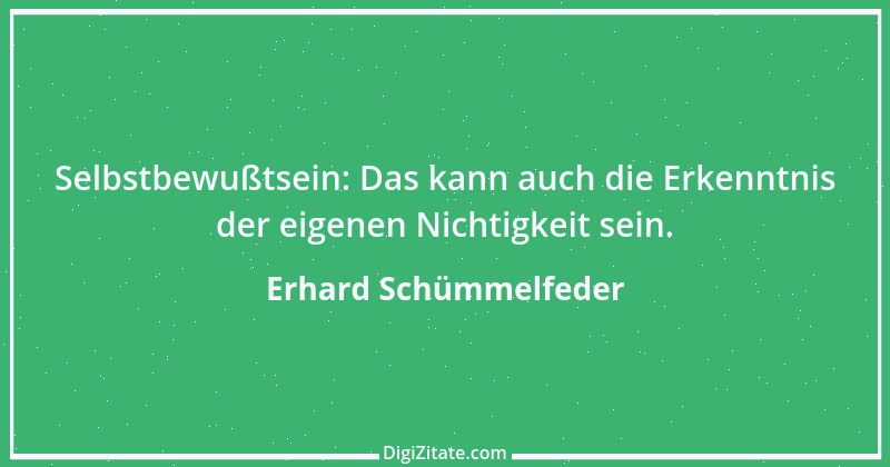 Zitat von Erhard Schümmelfeder 6