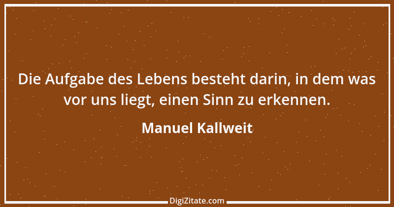 Zitat von Manuel Kallweit 1