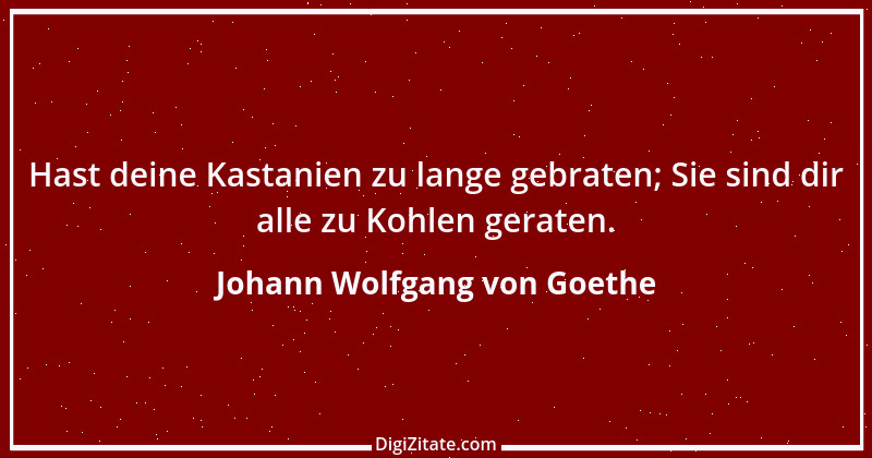 Zitat von Johann Wolfgang von Goethe 509