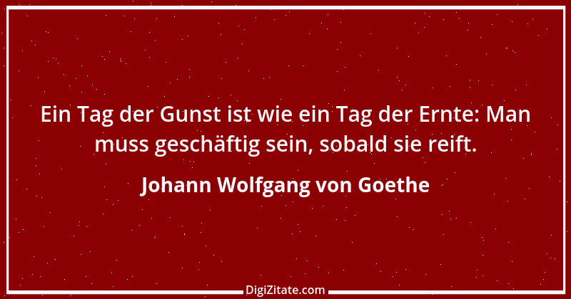 Zitat von Johann Wolfgang von Goethe 513