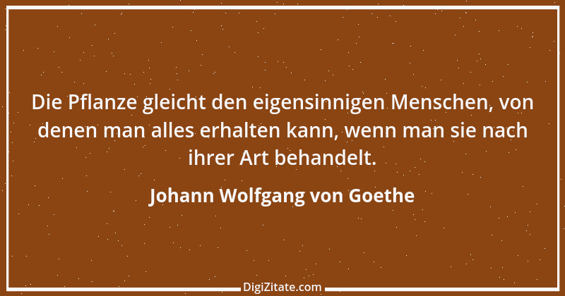 Zitat von Johann Wolfgang von Goethe 1514